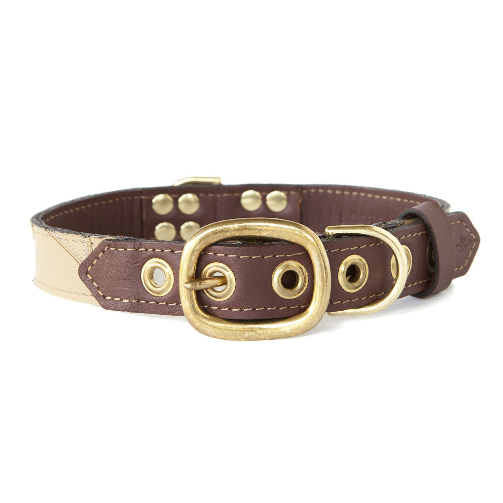 Mahogany Brown Dog Collar With Ivory Leather + Brown/Ivory Stitching