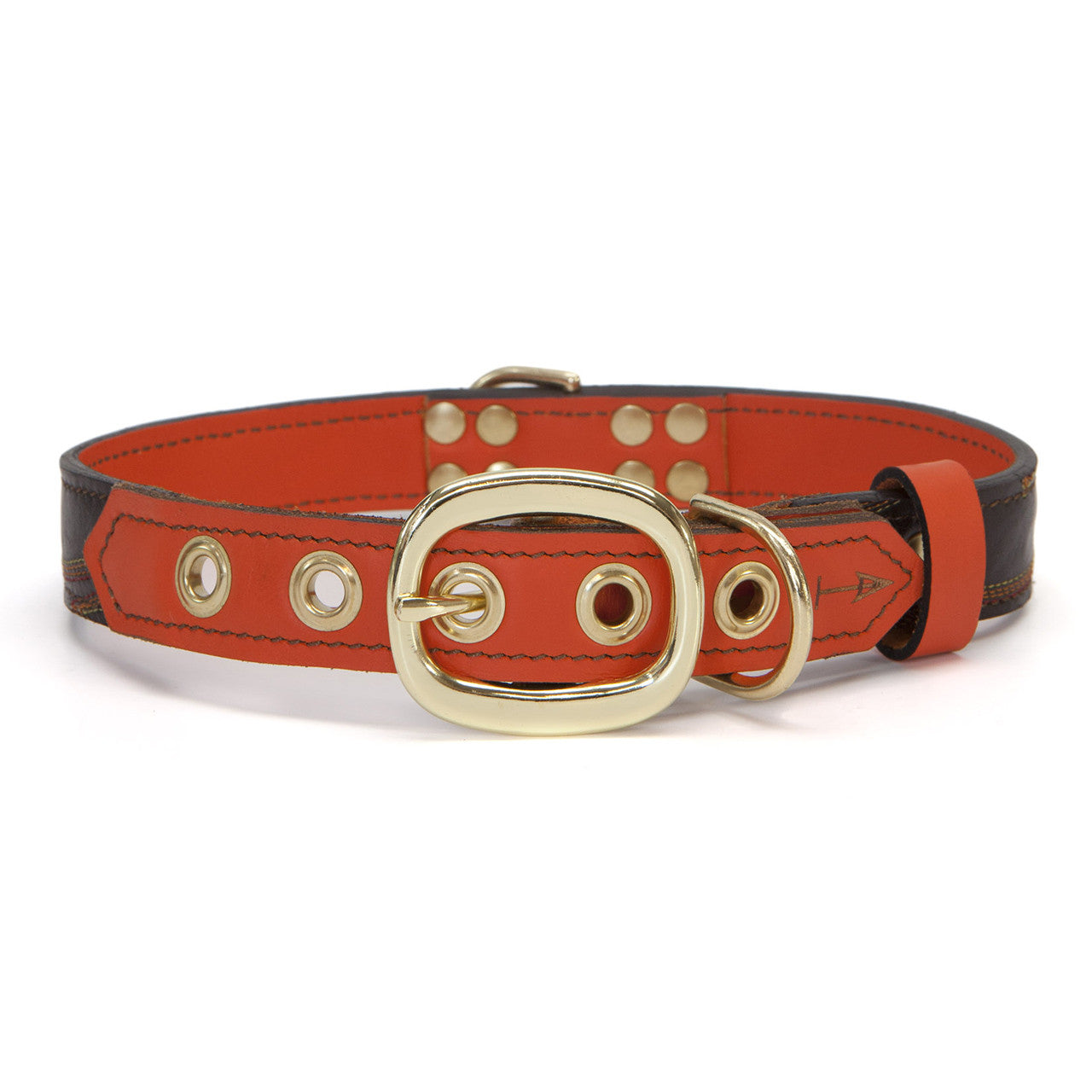 Orange Dog Collar with Medium Brown Leather + Multicolor Stitching (back view)