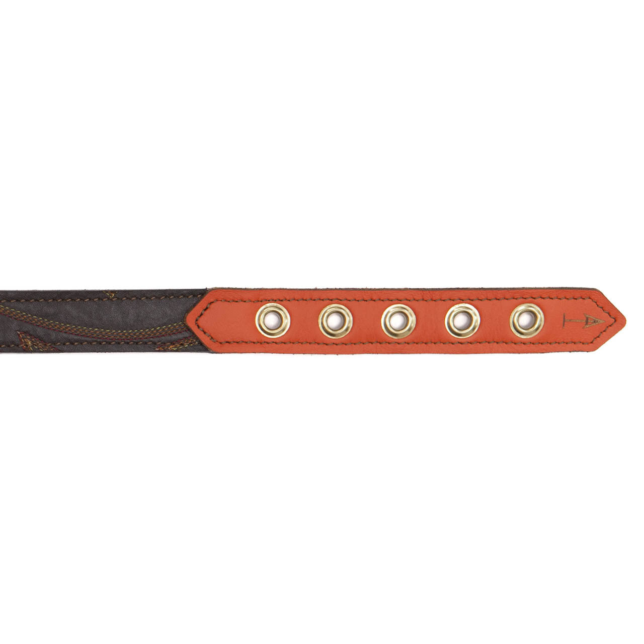 Orange Dog Collar with Medium Brown Leather + Multicolor Stitching (clasp)