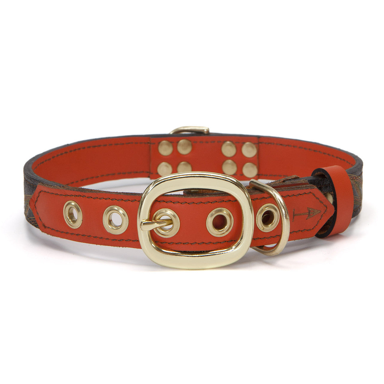 Orange Dog Collar with Brown Leather + Orange Spike Stitching (back view)