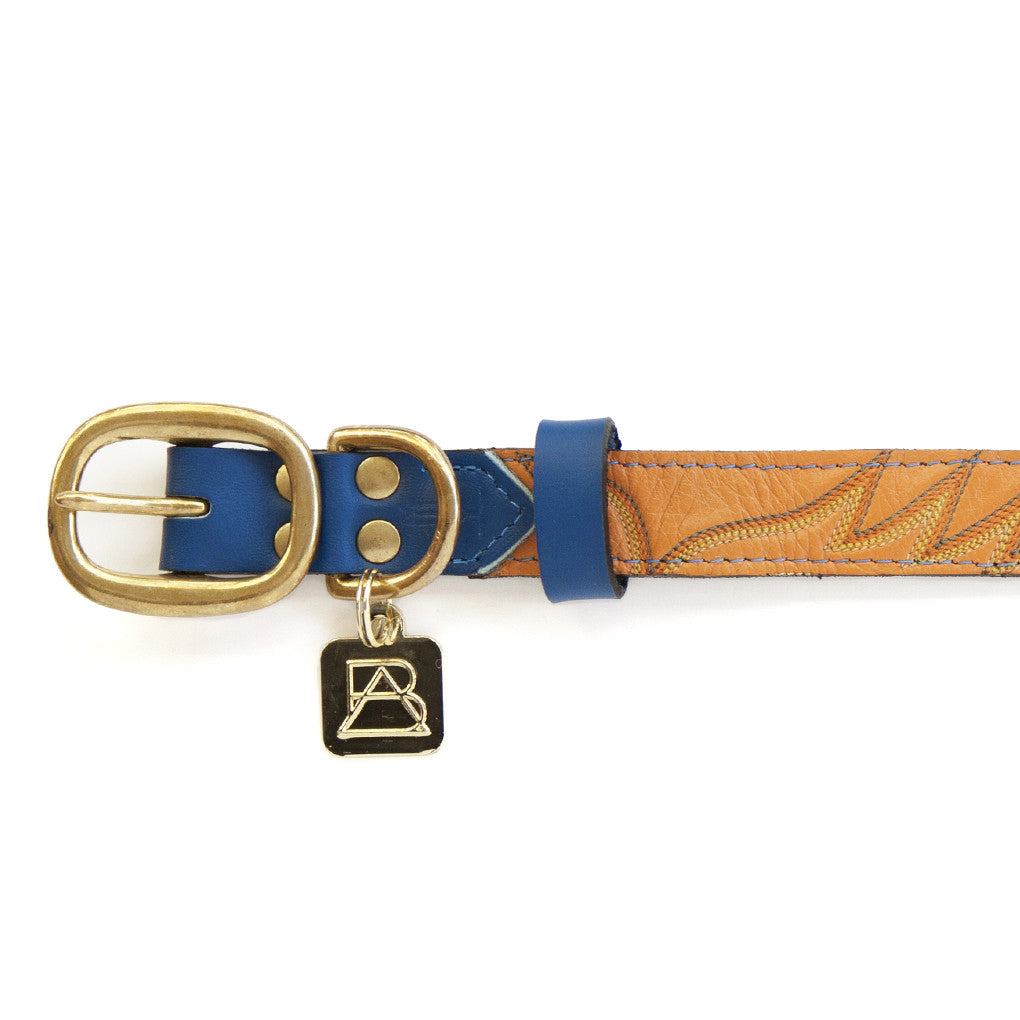 Royal Blue Dog Collar With Golden Leather + Brown/Orange/Yellow Stitching