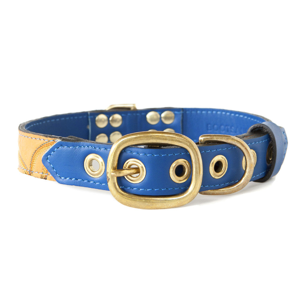 Royal Blue Dog Collar With Golden Leather + Brown/Orange/Yellow Stitching