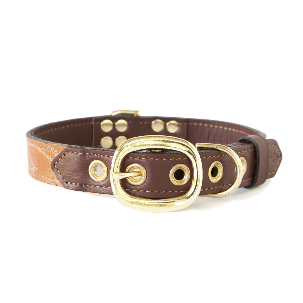 Mahogany Brown Dog Collar With Russet Leather + Ivory Stitching
