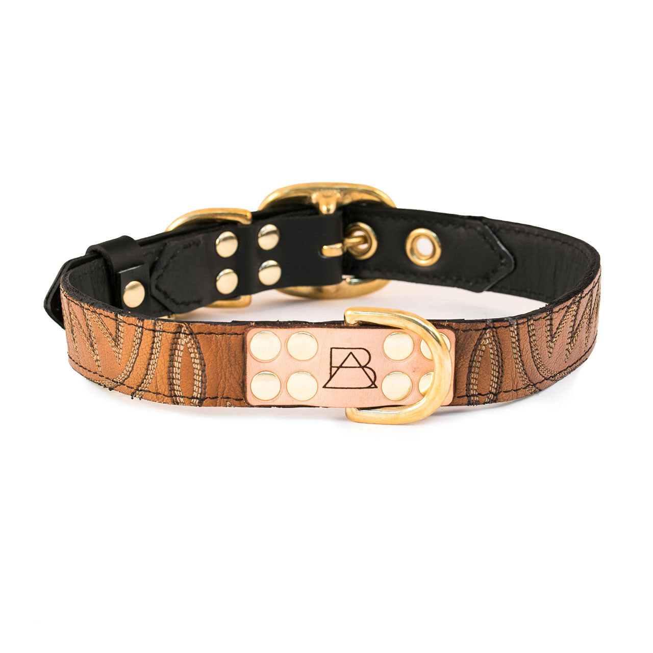 lv collar for dogs