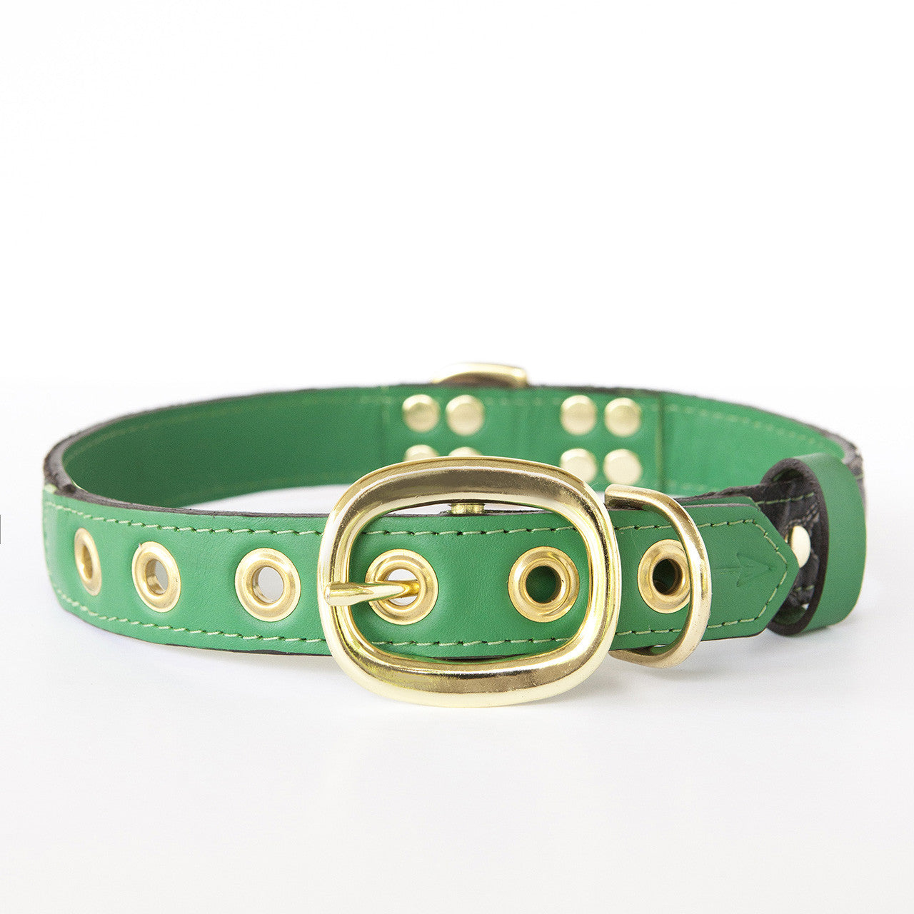 Emerald Green Dog Collar with Black Leather + White Stitching (back view)