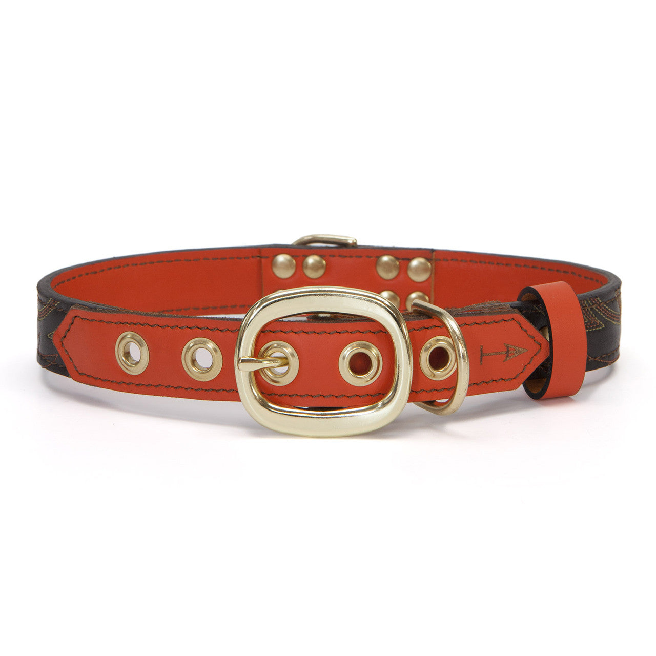 Orange Dog Collar with Dark Brown Leather + Orange Crest Stitching (back view)