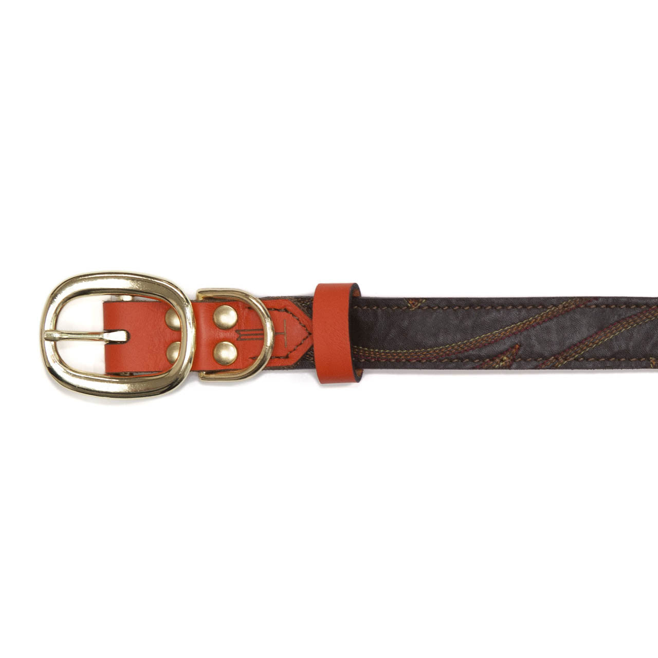 Orange Dog Collar with Medium Brown Leather + Multicolor Stitching (buckle)