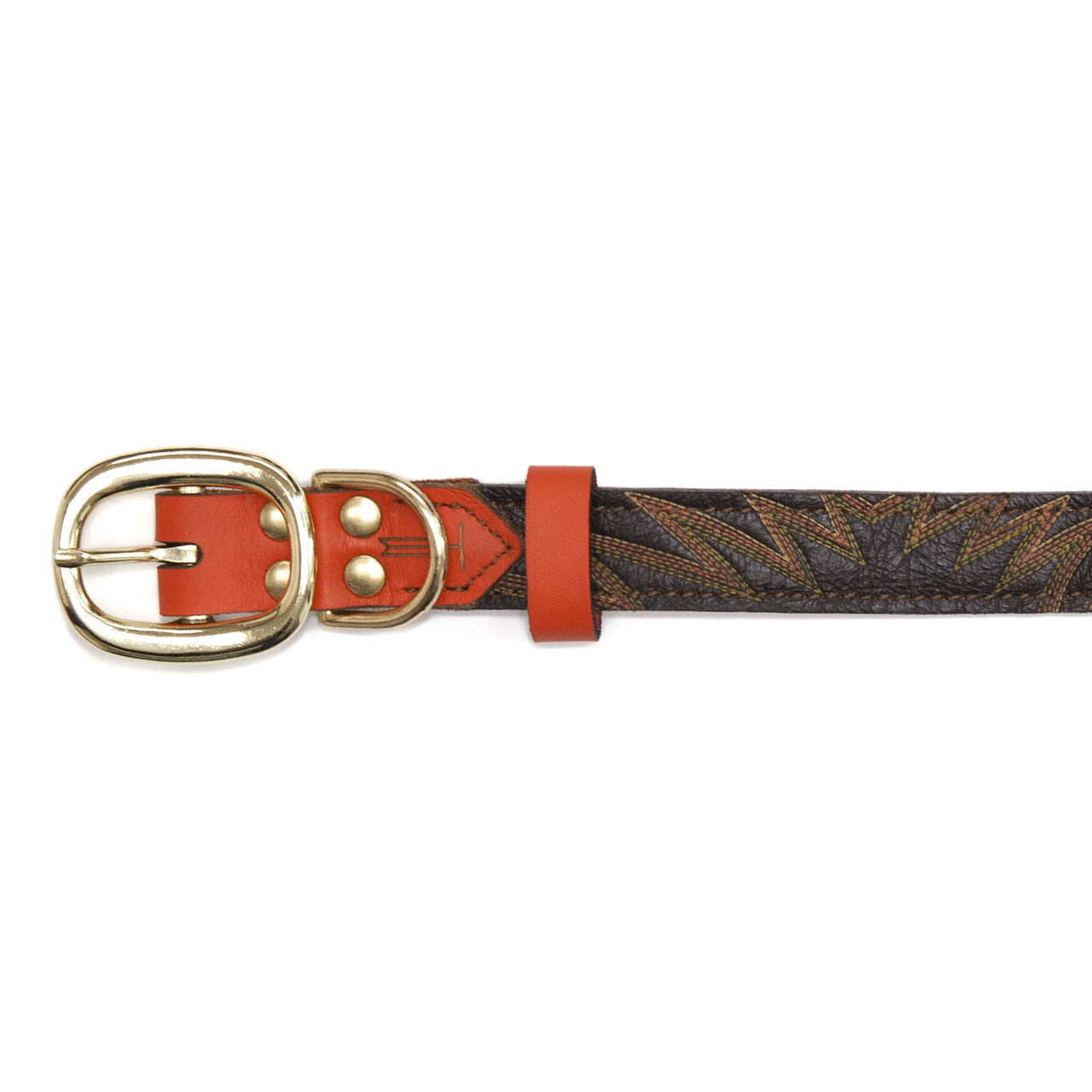 Orange Dog Collar with Brown Leather + Orange Spike Stitching (buckle)