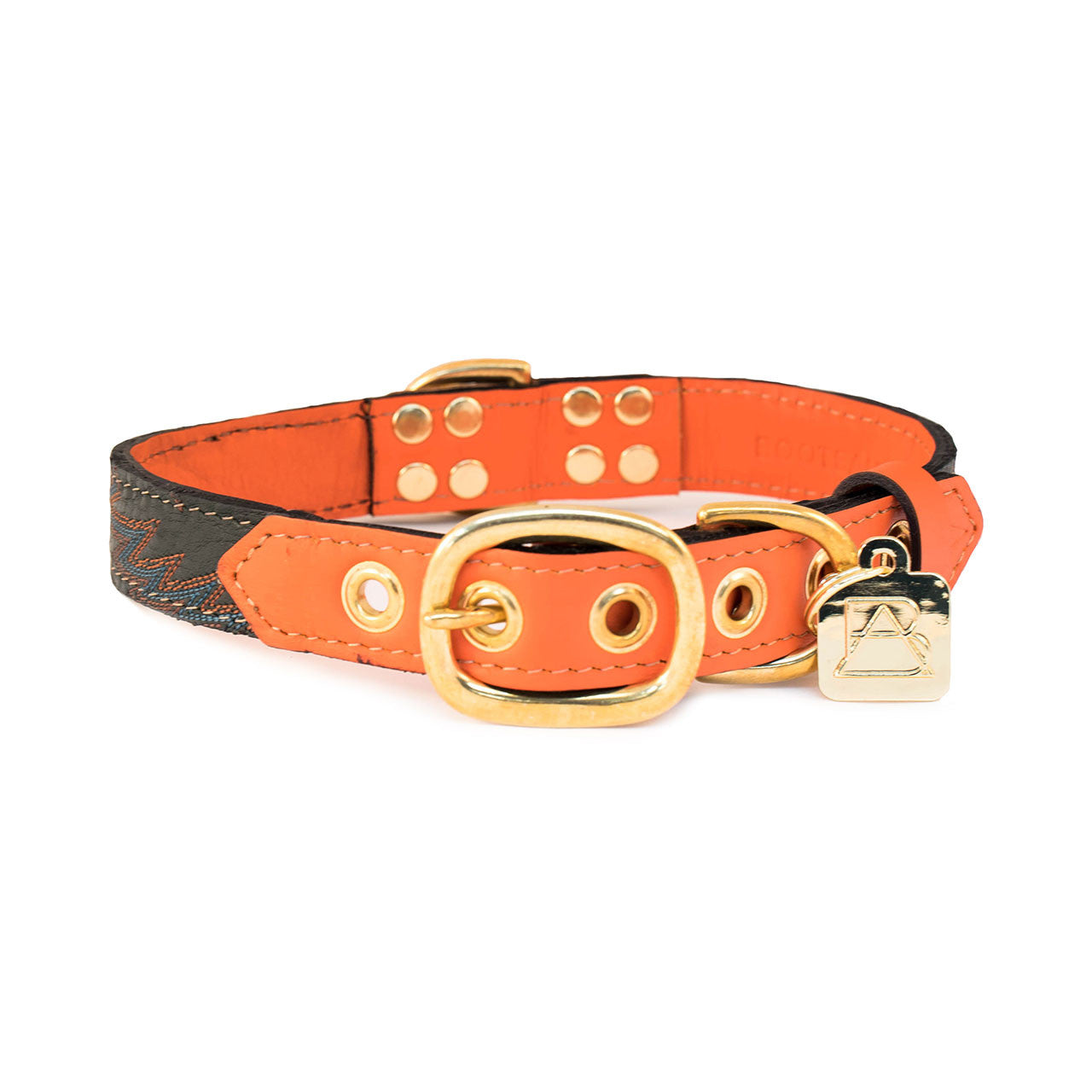 Orange Dog Collar with Dark Green Leather + Multicolor Stitching