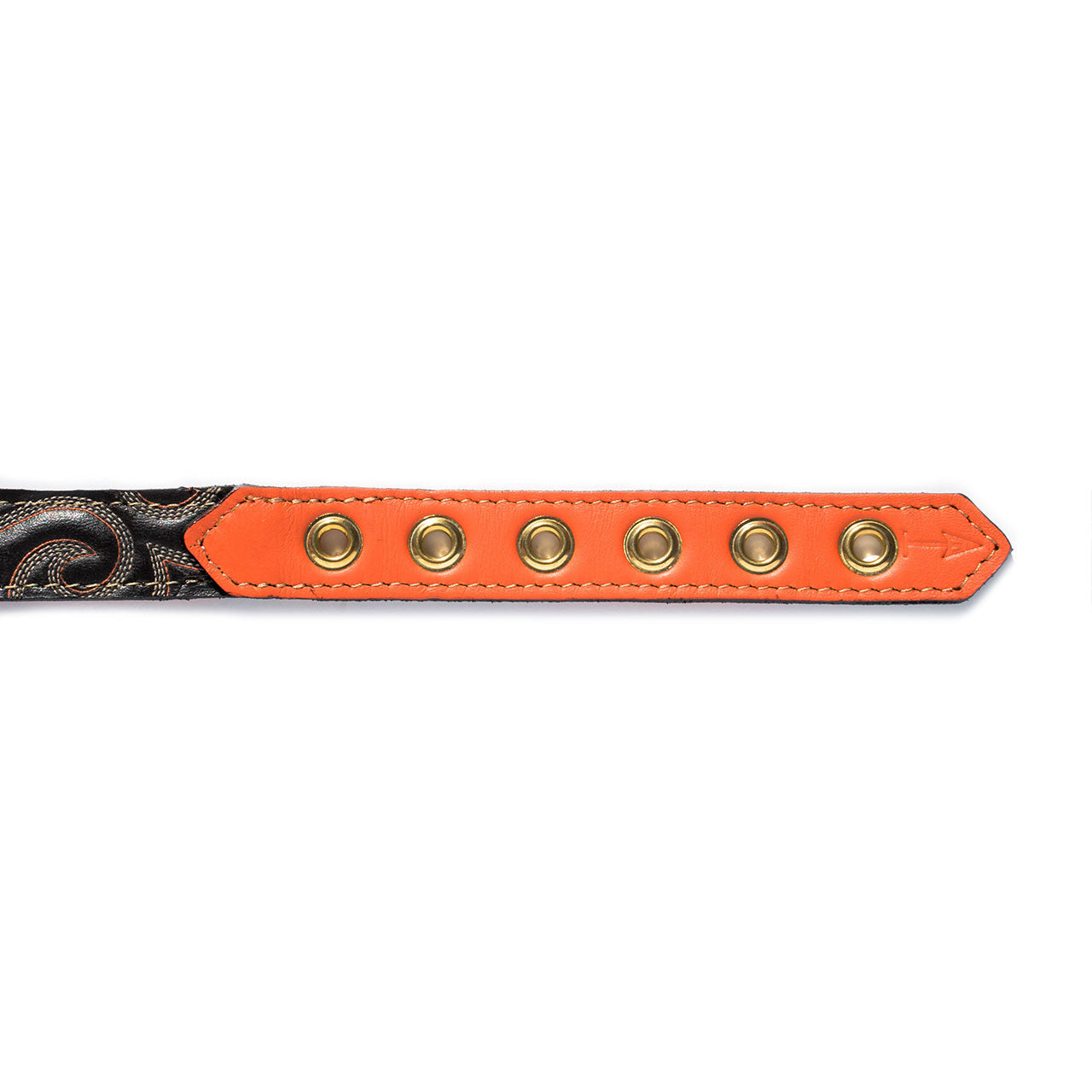 Orange Dog Collar with Dark Chocolate Leather + Orange and Ivory Stitching