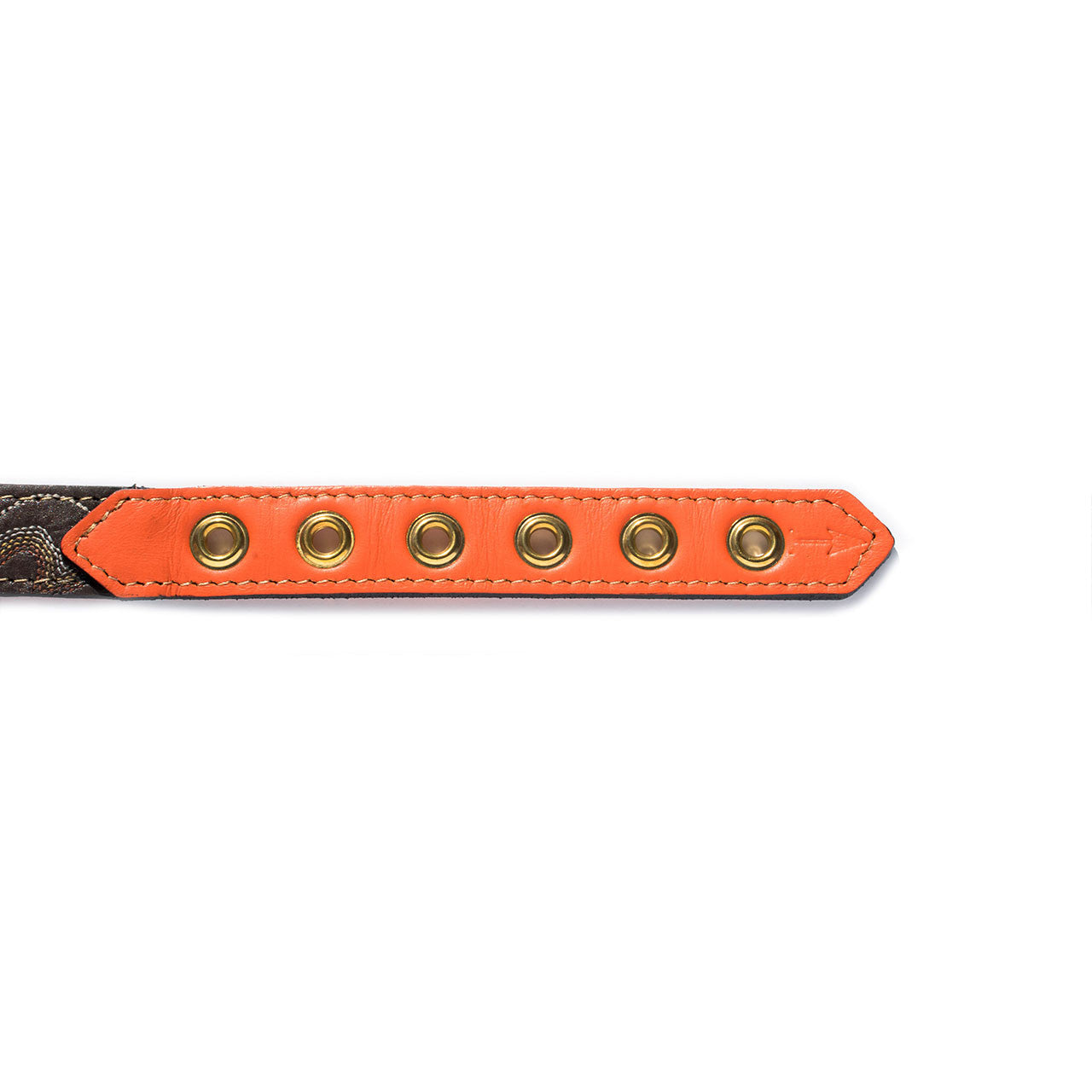 Orange Dog Collar with Chocolate Leather + Orange, Yellow and Ivory Stitching