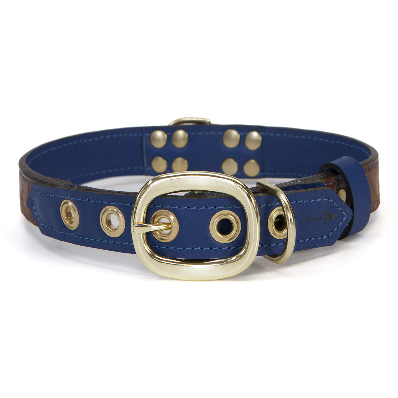 Royal Blue Dog Collar with Brown Leather + Orange/Light Green Spike Stitching (back view)