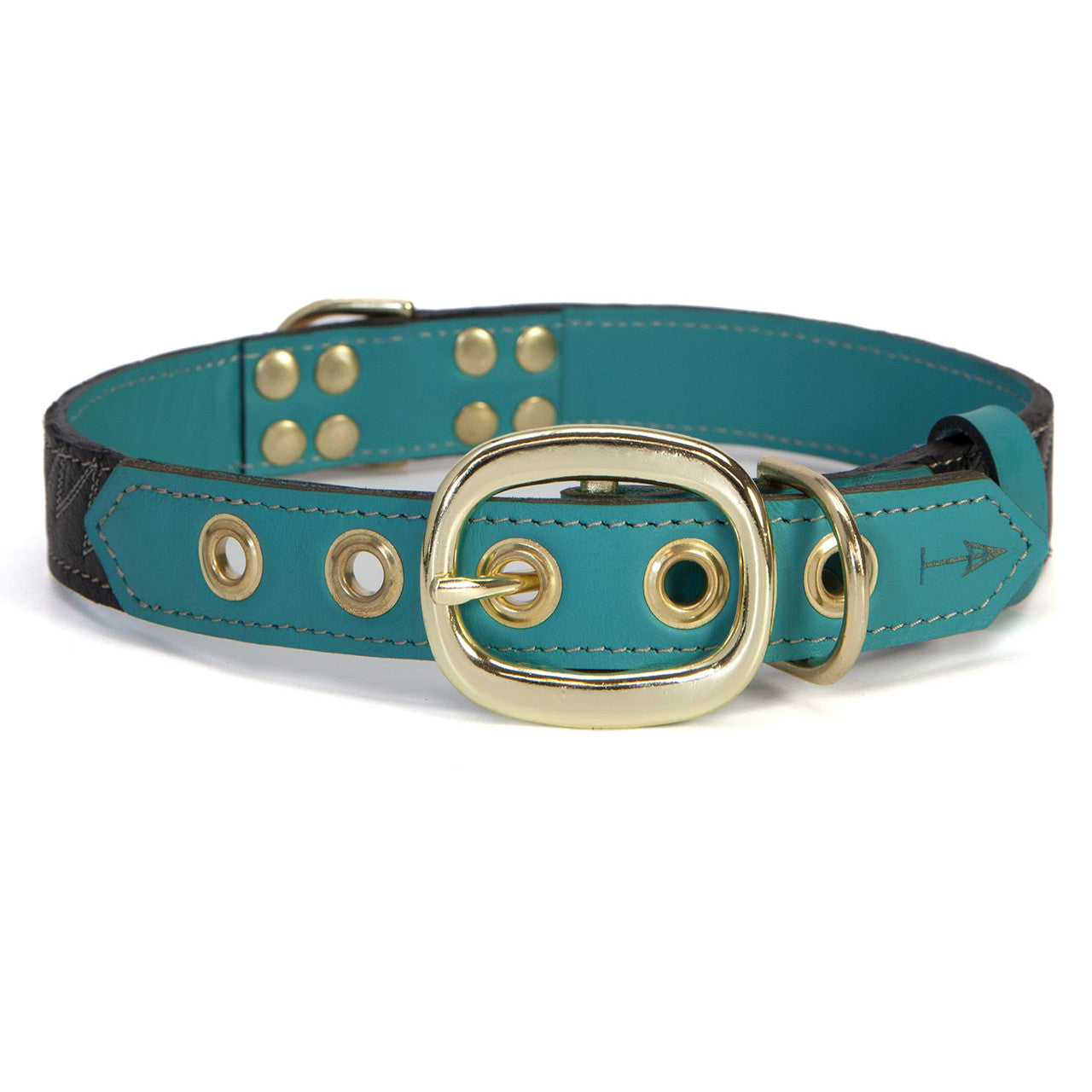 Turquoise Dog Collar with Black Leather + White Spike Stitching (back view)
