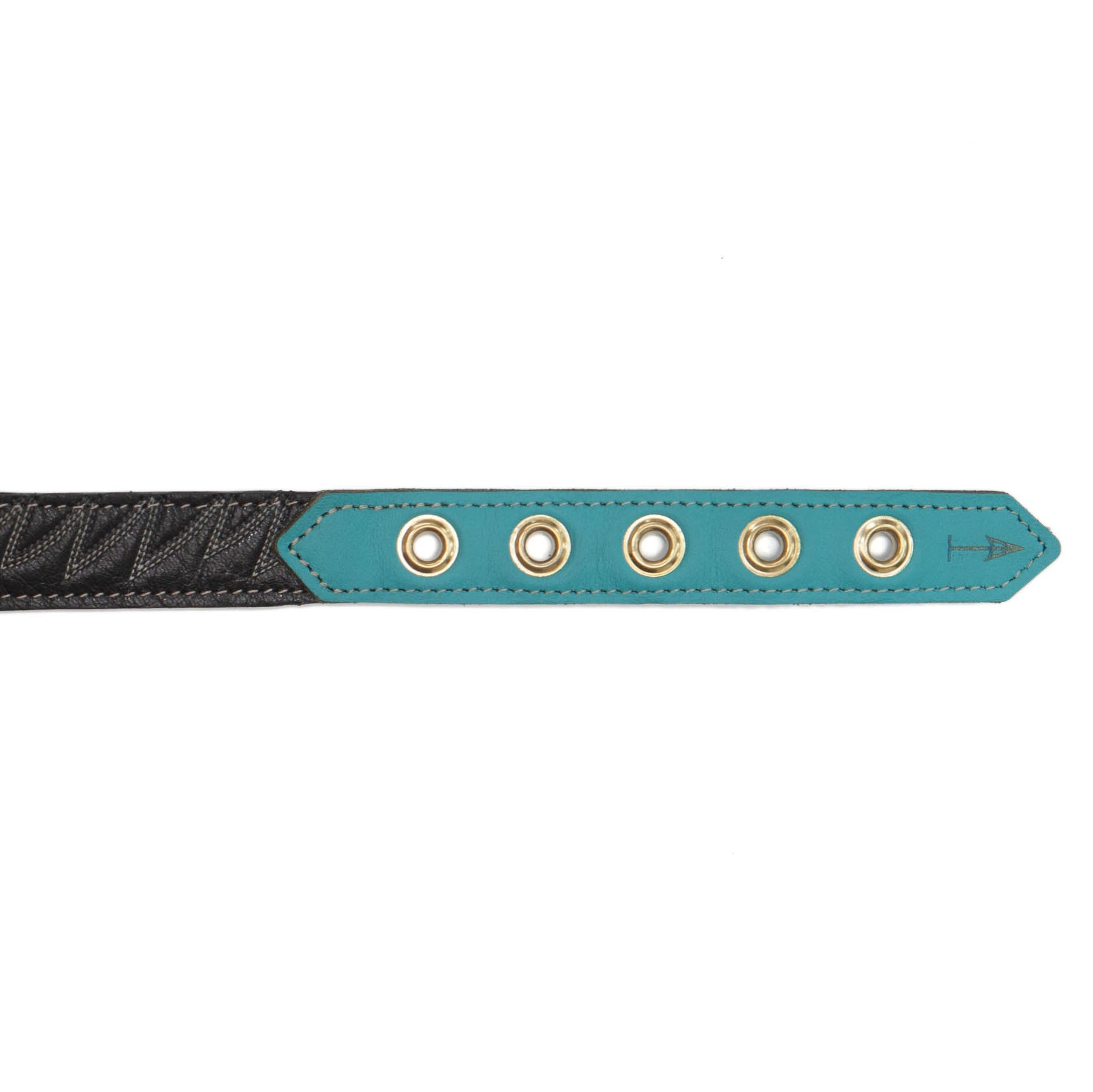 Turquoise Dog Collar with Black Leather + White Spike Stitching (clasp)