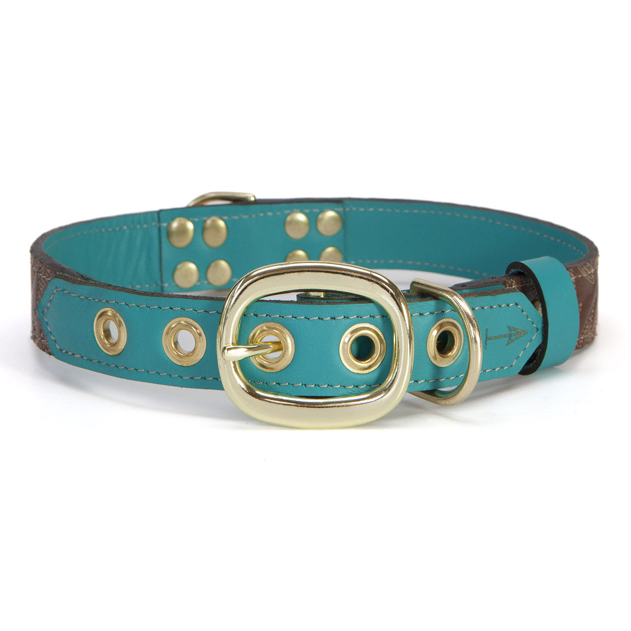 Turquoise Dog Collar with Dark Brown Leather + White Stitching (back view)