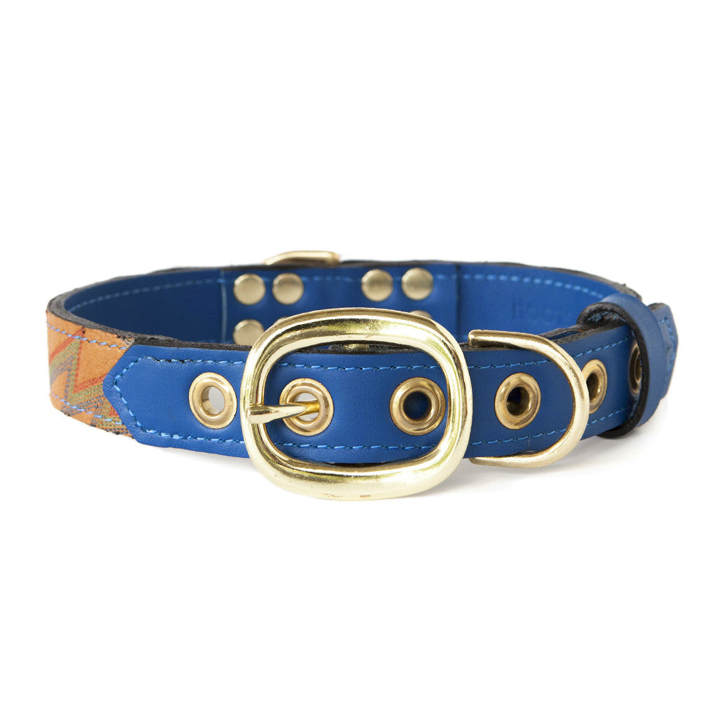 Royal Blue Dog Collar With Orange Leather + Blue/Green/Red Stitching