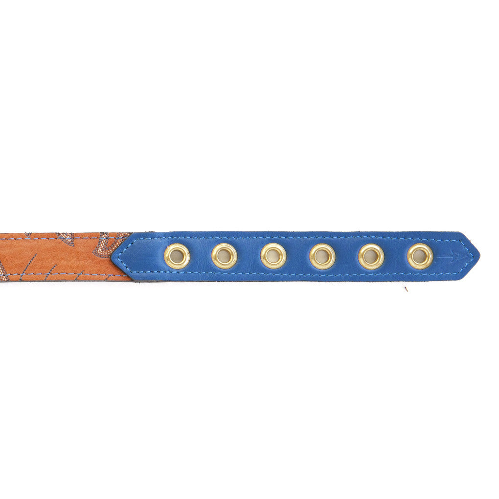 Royal Blue Dog Collar With Orange Leather + Blue/Red/White Stitching