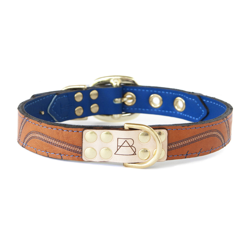 Royal Blue Dog Collar With Orange Leather + Blue/Red/White Stitching