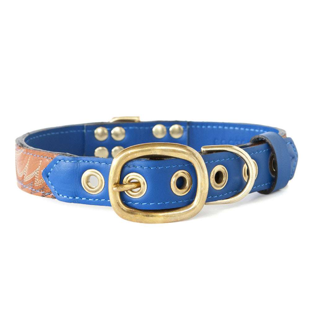 Royal Blue Dog Collar With Tan Leather + Cream/Orange/Brown Stitching